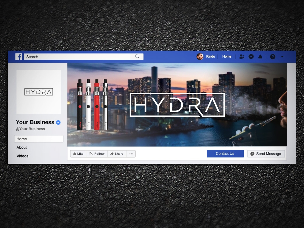 Hydra logo design by Kindo