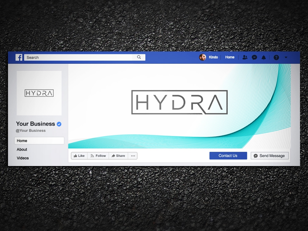 Hydra logo design by Kindo
