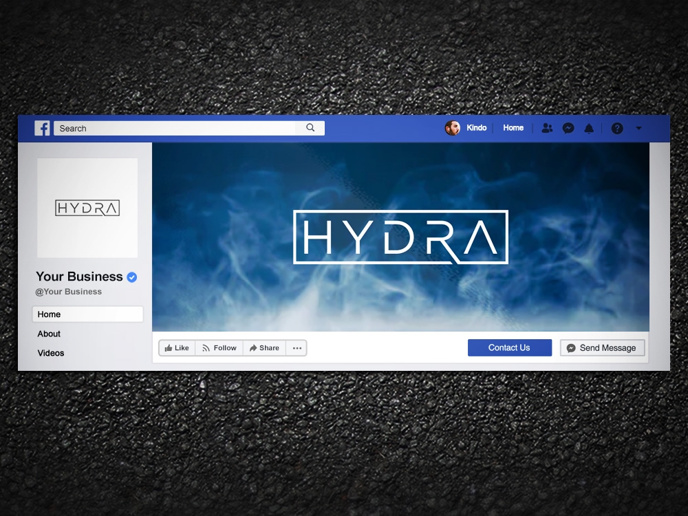 Hydra logo design by Kindo
