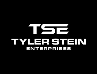 Tyler Stein Enterprises  logo design by asyqh