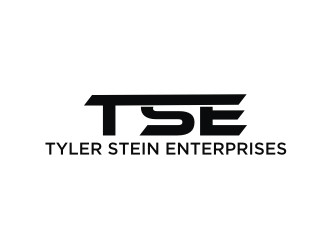 Tyler Stein Enterprises  logo design by Diancox