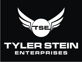 Tyler Stein Enterprises  logo design by mbamboex
