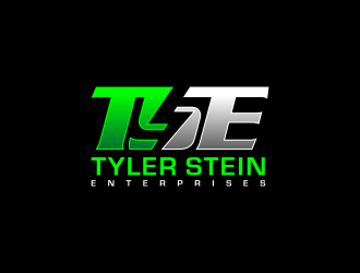 Tyler Stein Enterprises  logo design by perf8symmetry