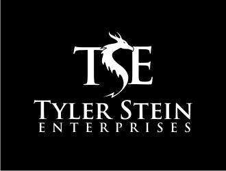 Tyler Stein Enterprises  logo design by rdbentar