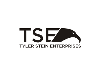 Tyler Stein Enterprises  logo design by blessings