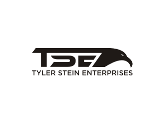 Tyler Stein Enterprises  logo design by blessings