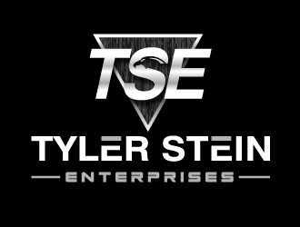 Tyler Stein Enterprises  logo design by axel182