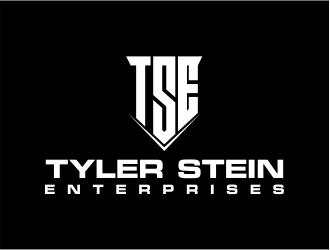 Tyler Stein Enterprises  logo design by evdesign