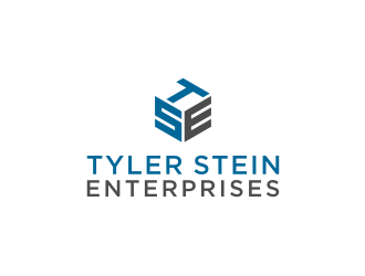 Tyler Stein Enterprises  logo design by logitec
