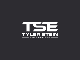 Tyler Stein Enterprises  logo design by alby