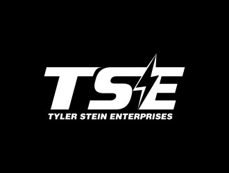 Tyler Stein Enterprises  logo design by aldesign