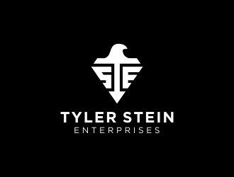 Tyler Stein Enterprises  logo design by CreativeKiller