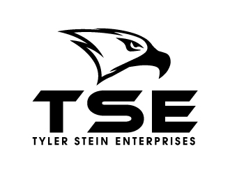 Tyler Stein Enterprises  logo design by ElonStark