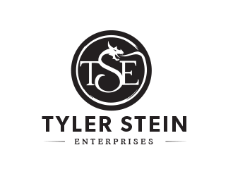 Tyler Stein Enterprises  logo design by vinve
