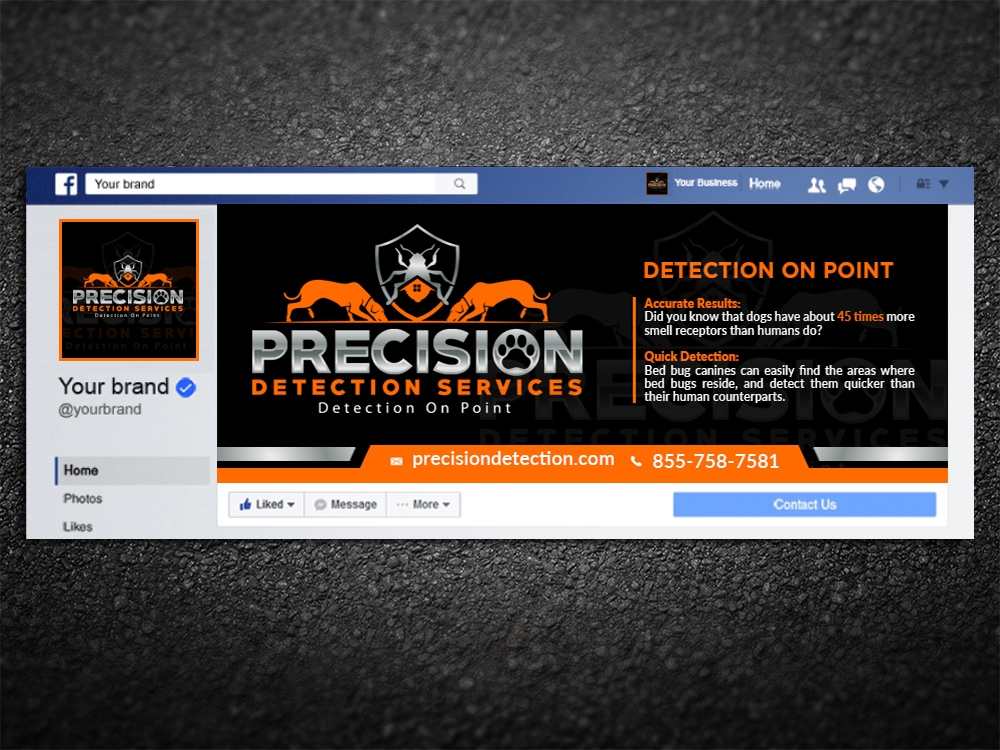 Precision Detection Services logo design by mattlyn