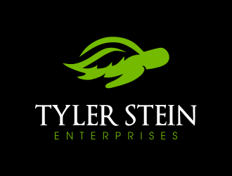 Tyler Stein Enterprises  logo design by JessicaLopes