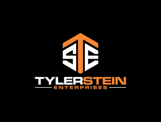 Tyler Stein Enterprises  logo design by imagine