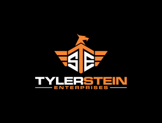 Tyler Stein Enterprises  logo design by imagine