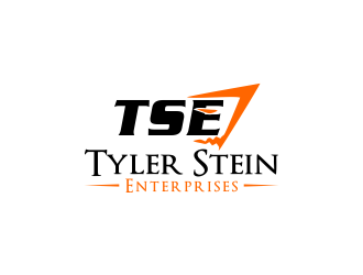 Tyler Stein Enterprises  logo design by akhi