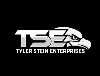 Tyler Stein Enterprises  logo design by THOR_