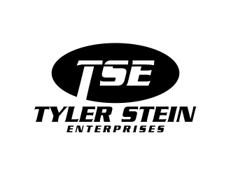 Tyler Stein Enterprises  logo design by zoominten