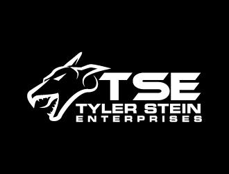 Tyler Stein Enterprises  logo design by LogOExperT