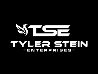 Tyler Stein Enterprises  logo design by done