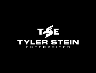 Tyler Stein Enterprises  logo design by lestatic22