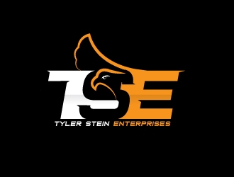 Tyler Stein Enterprises  logo design by dshineart