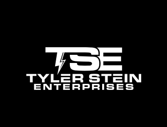 Tyler Stein Enterprises  logo design by MarkindDesign