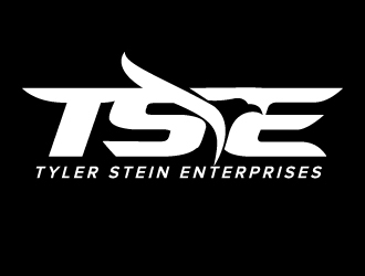 Tyler Stein Enterprises  logo design by jaize