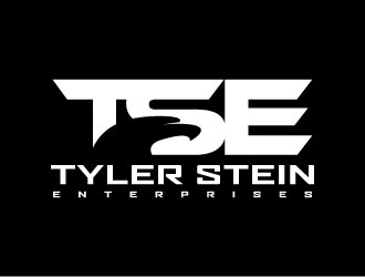Tyler Stein Enterprises  logo design by daywalker