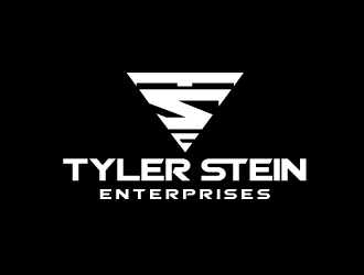 Tyler Stein Enterprises logo design by aRBy