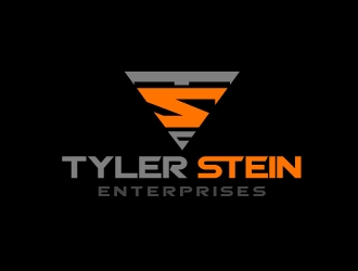 Tyler Stein Enterprises  logo design by aRBy