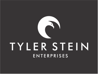 Tyler Stein Enterprises  logo design by MariusCC