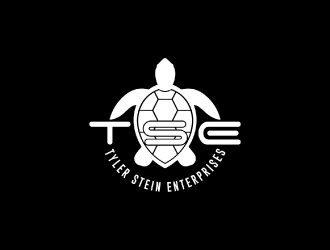 Tyler Stein Enterprises  logo design by nona