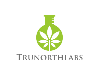 Trunorthlabs logo design by lexipej