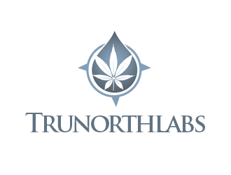 Trunorthlabs logo design by kunejo