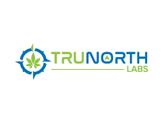 Trunorthlabs logo design by jaize