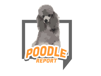 Poodle Report logo design by Day2DayDesigns