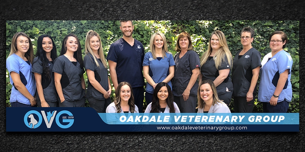 OVG / oakdale Veterinary Group  logo design by Gelotine