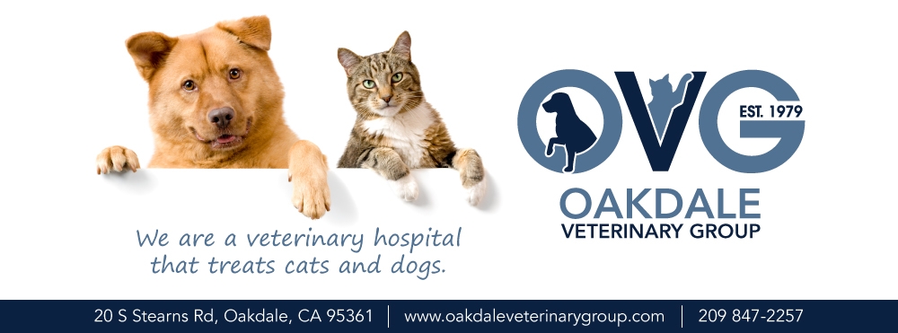 OVG / oakdale Veterinary Group  logo design by LogOExperT