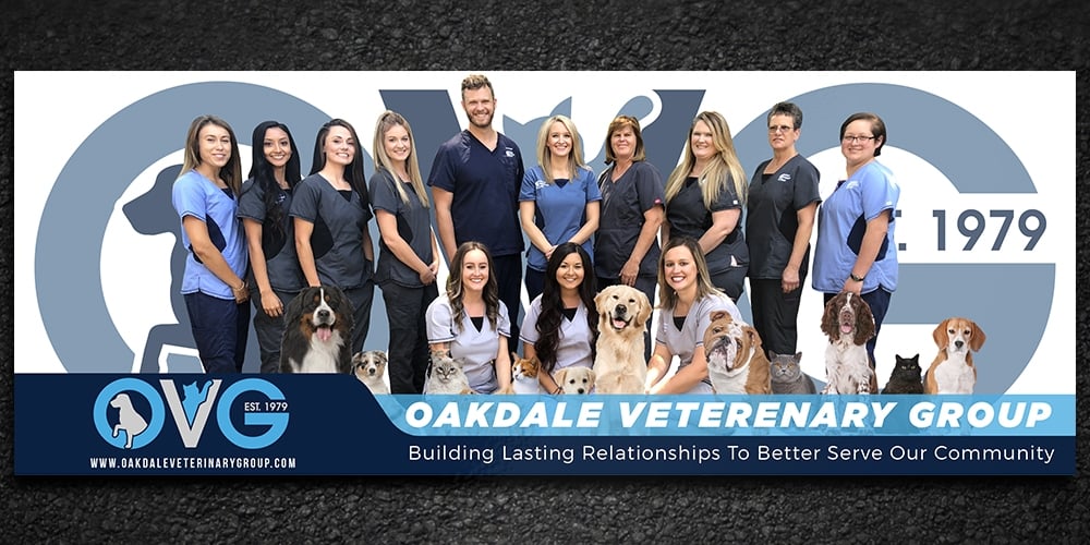 OVG / oakdale Veterinary Group  logo design by Gelotine