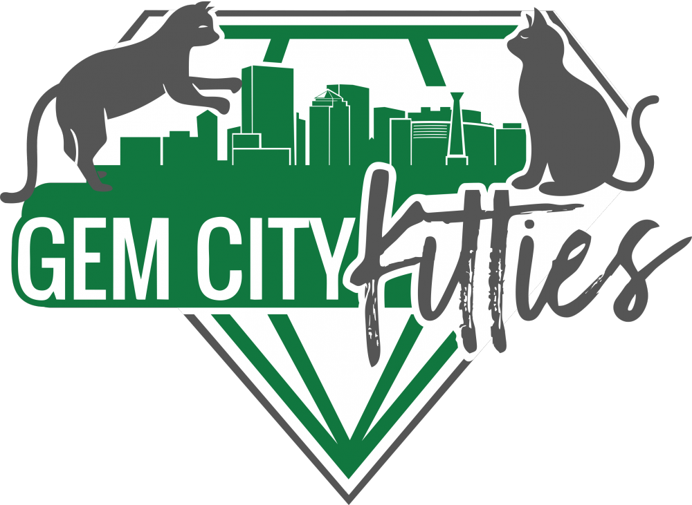 Gem City Vet logo design