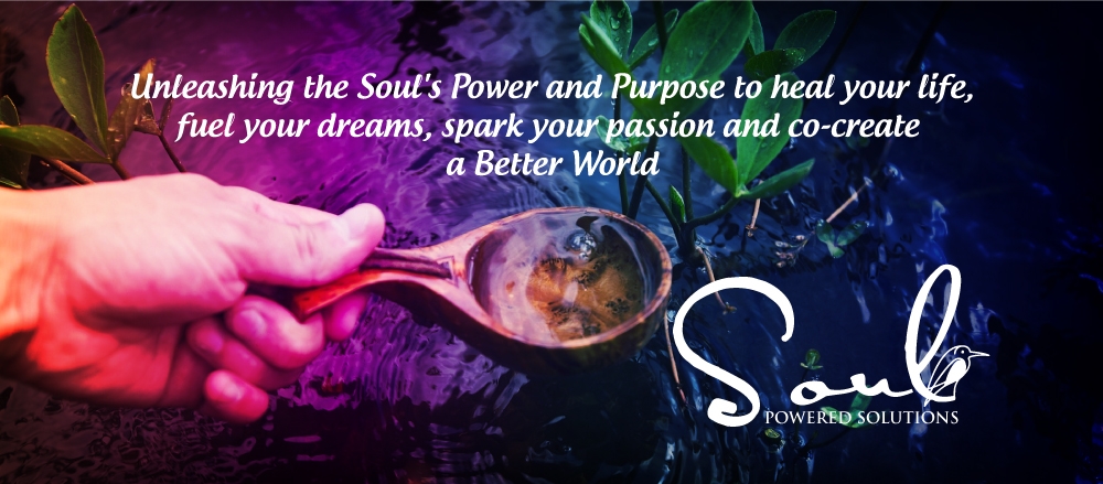 Soul Powered Solutions      logo design by LogOExperT