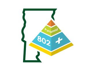 Pyramid 802 Plus logo design by creator_studios