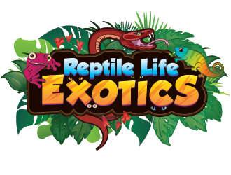 Reptile Life Exotics logo design by SiliaD