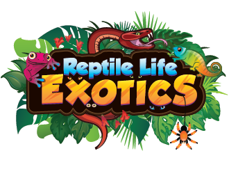 Reptile Life Exotics logo design by SiliaD