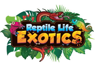 Reptile Life Exotics logo design by SiliaD