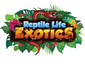 Reptile Life Exotics logo design by SiliaD